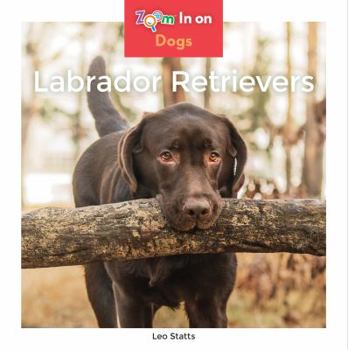 Labrador Retrievers - Book  of the Zoom in on Dogs