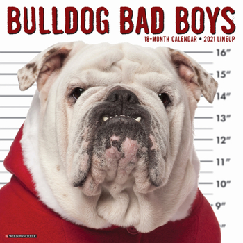 Calendar Bulldog Bad Boys 2021 Wall Calendar (Dog Breed Calendar) Book