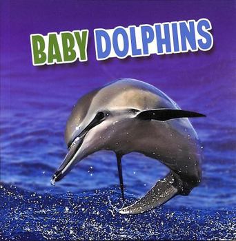Baby Dolphins (Baby Animals)