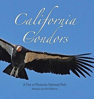 Hardcover California Condors: A Day at Pinnacles National Park Book