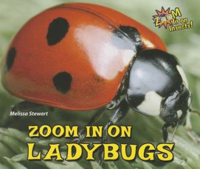 Paperback Zoom in on Ladybugs Book