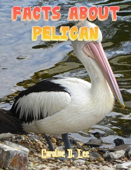 Facts About Pelican: Pelican fact for girl age 1-10 Pelican fact for boy age 1-10 facts about pelican interesting facts about pelicans