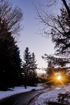 Paperback Forest Talks: a book about growth and healing. Book