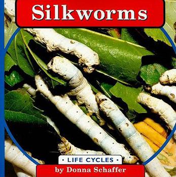 Silkworms - Book  of the Life Cycles