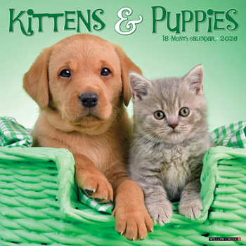 Calendar Kittens & Puppies 2026 Wall Calendar Book