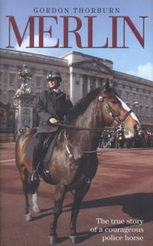 Hardcover Merlin: The True Story of a Courageous Police Horse Book