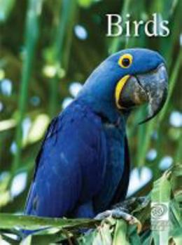 Hardcover Birds (True or False, 3) Book