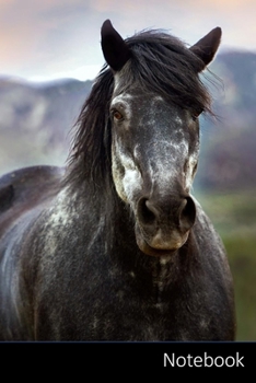 Paperback Notebook: Caballo Cuaderno - Diario - Libro de escritura - Notas - 6 x 9 (15.24 x 22.86 cm), 110 p?ginas, superficie brillante. Book