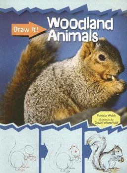 Paperback Woodland Animals Book