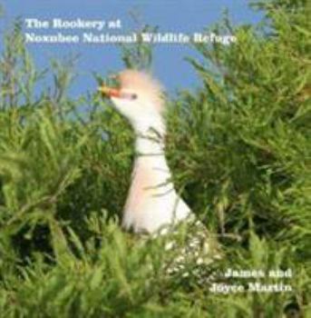 Paperback The Rookery at Noxubee Wildlife Refuge Book
