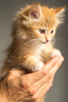 My Precious Companion Cat Journal: Cute Journal & Blank Notebook with Wildlife, Pets & Animals related Theme | School, College & Work Journal For ... | Beautiful  Portrait Gift For Cat Lovers