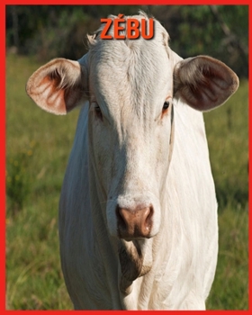 Paperback Z?bu: Informations Tr?s Amusantes et Photos Etonnantes [French] Book