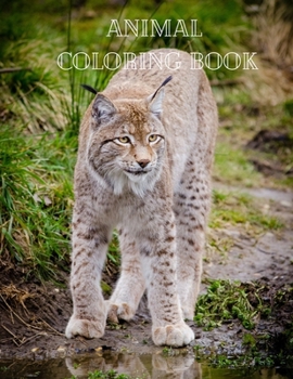 Paperback Animal Coloring Book: Actvity Coloring Pages for Kids Book