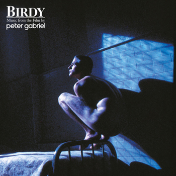 Vinyl Birdy: Music From The Film Book