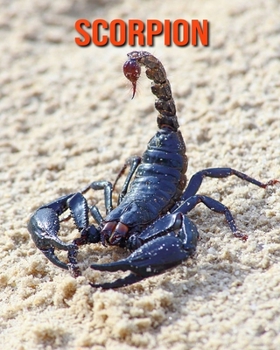 Paperback Scorpion: Amazing Facts about Scorpion Book