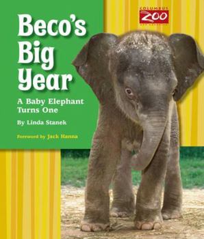 Library Binding Beco's Big Year: A Baby Elephant Turns One Book