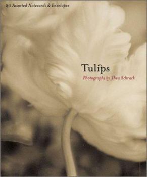 Tulips Deluxe Notecards : 20 Assorted Notecards and Envelopes