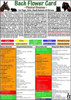 Bach Flower Card: Physical Illnesses for Dogs, Cats, Small Animals & Horses