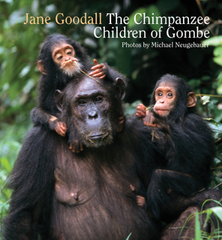 Hardcover Chimpanzee Children of Gombe Book