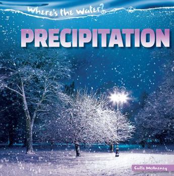 Library Binding Precipitation Book