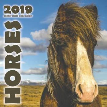 Paperback Horses 2019 Mini Wall Calendar Book