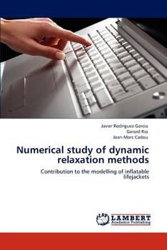 Paperback Numerical Study of Dynamic Relaxation Methods Book