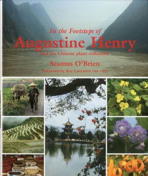 In the Footsteps of Augustine Henry: And His Chinese Plant Collectors