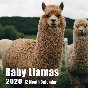 Baby Llamas Calendar 2020: Cute Babies llama Photos Mini Calendar With Inspirational Quotes each Month and Notes Section | Small Size 8.5x8.5 inches