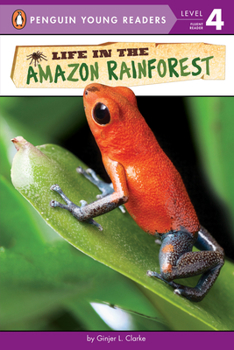 Paperback Life in the Amazon Rainforest Book