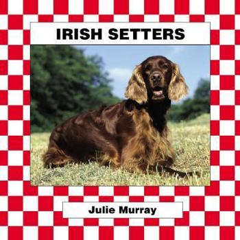 Irish Setters (Murray, Julie, Dogs. Set V.) - Book  of the Animal Kingdom