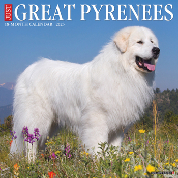 Calendar Just Great Pyrenees 2023 Wall Calendar Book