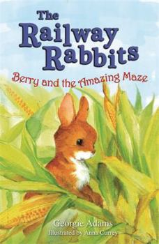 Paperback Berry and the Amazing Maze. by Georgie Adams Book