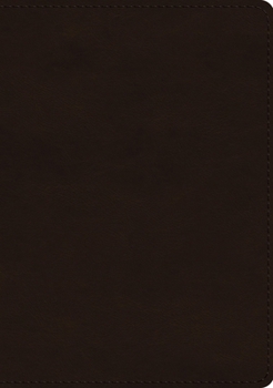 Imitation Leather ESV Single Column Journaling Bible, Large Print (Trutone, Deep Brown) [Large Print] Book