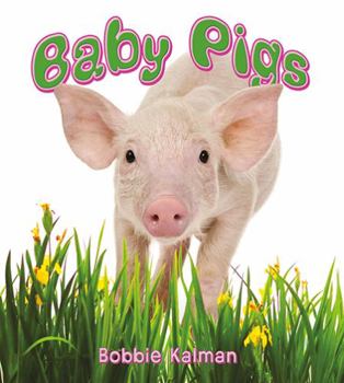 Hardcover Baby Pigs Book