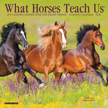 Calendar What Horses Teach Us 2022 Mini Wall Calendar Book