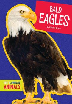 Paperback Bald Eagles Book