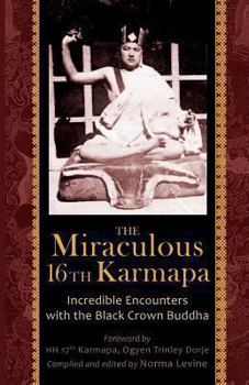 Paperback The Miraculous 16th Karmapa Book