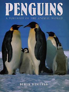 Hardcover Penguins: A Portrait of the Animal World Book