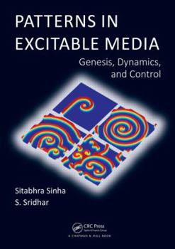 Hardcover Patterns in Excitable Media: Genesis, Dynamics, and Control Book