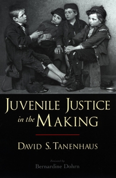 Paperback Juvenile Justice in the Making Book