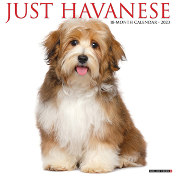 Calendar Just Havanese 2023 Wall Calendar Book