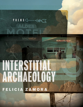 Paperback Interstitial Archaeology Book