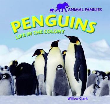 Paperback Penguins: Life in the Colony Book