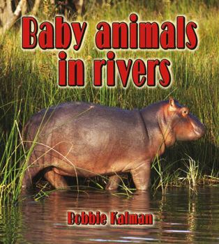 Paperback Baby Animals in Rivers Book