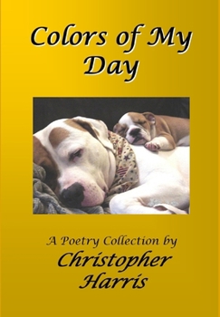 Hardcover Colors of My Day Book