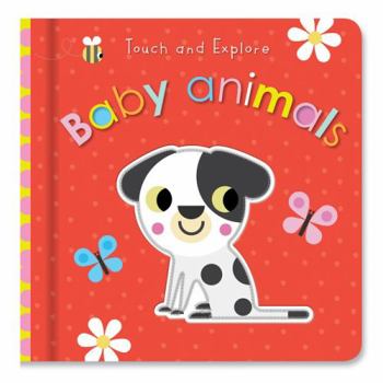 Board book Touch & Explore Baby Animals Book