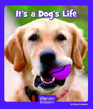 Paperback It's a Dog's Life Book