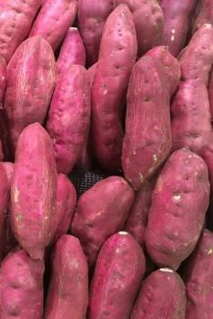 Paperback Sweet Potatoes: The Sweet Potato Is a Dicotyledonous Plant That Belongs to the Bindweed or Morning Glory Family, Convolvulaceae. Its L Book