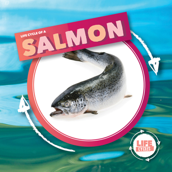 Library Binding Life Cycle of Salmon Book