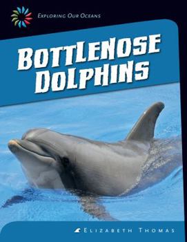 Paperback Bottlenose Dolphins Book